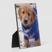 Golden Retriever Puppy Fotoplaat (Zijkant)