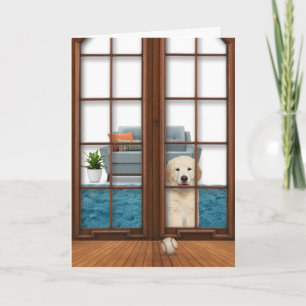 Golden Retriever Puppy Get Well Card Kaart