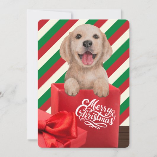 Golden Retriever Puppy Gift Box Red Green Stripe Feestdagenkaart (Voorkant)