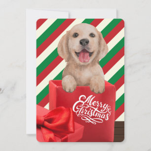 Golden Retriever Puppy Gift Box Red Green Stripe Feestdagenkaart