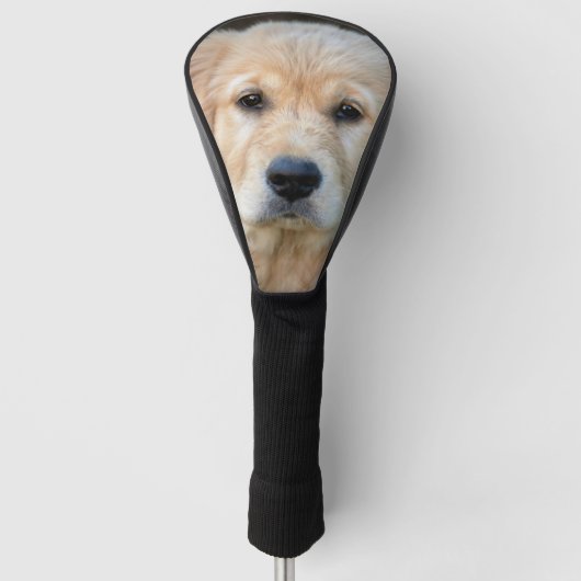Golden Retriever Puppy Golfheadcover (Voorkant)