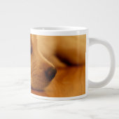 Golden Retriever Puppy Grote Koffiekop (Rechts)