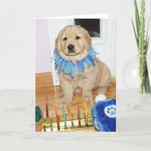 Golden Retriever Puppy Hanukkah Blessings Feestdagen Kaart