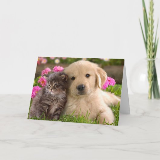 Golden Retriever Puppy Hond & Kitten Liefde Kaart (Voorkant)