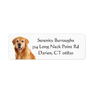 Golden Retriever Puppy Hondenliefde - Puppies Pup Etiket