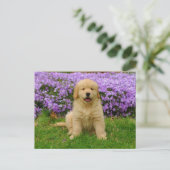 Golden Retriever Puppy in bed of Lavender Phlox Briefkaart (Staand voorkant)