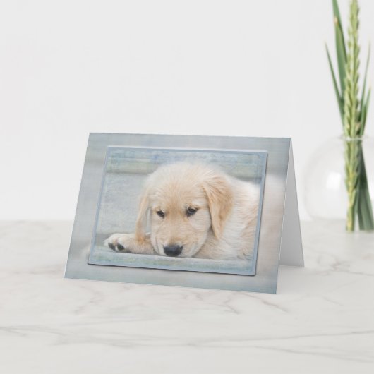 Golden Retriever puppy in blauw lijst Kaart (Voorkant)