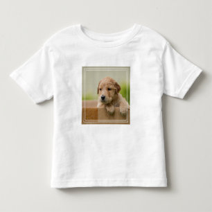 Golden Retriever Puppy in Box Kinder Shirts