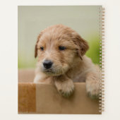 Golden Retriever Puppy in Box Planner (Achterkant)