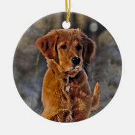 Golden Retriever Puppy in de sneeuw Keramisch Ornament