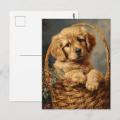 Golden Retriever Puppy in een mand Briefkaart (Voorkant / Achterkant)