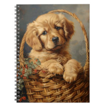 Golden Retriever Puppy in een mand