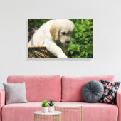 Golden Retriever Puppy in mandje Canvas Afdruk (Insitu (Woonkamer))