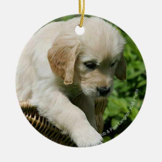 Golden Retriever Puppy in mandje Keramisch Ornament (Voorkant)