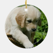 Golden Retriever Puppy in mandje Keramisch Ornament (Achterkant)