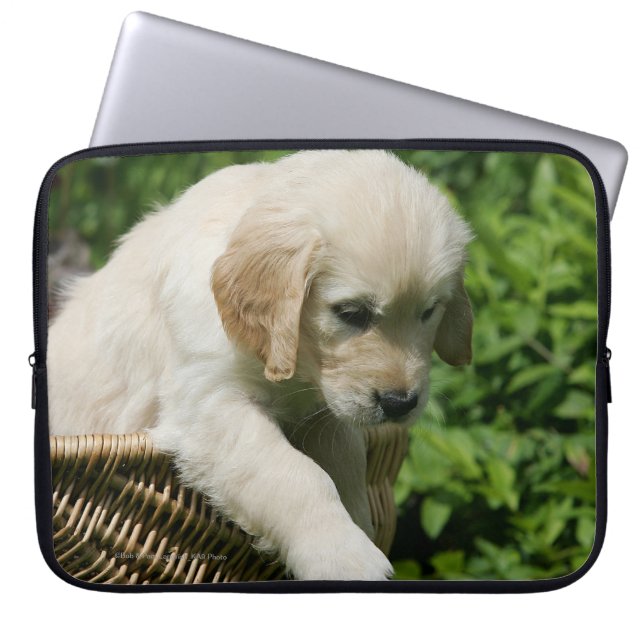 Golden Retriever Puppy in mandje Laptop Sleeve (Voorkant)