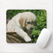 Golden Retriever Puppy in mandje Muismat (Met muis)