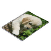 Golden Retriever Puppy in mandje Notitieboek (Linkerzijde)