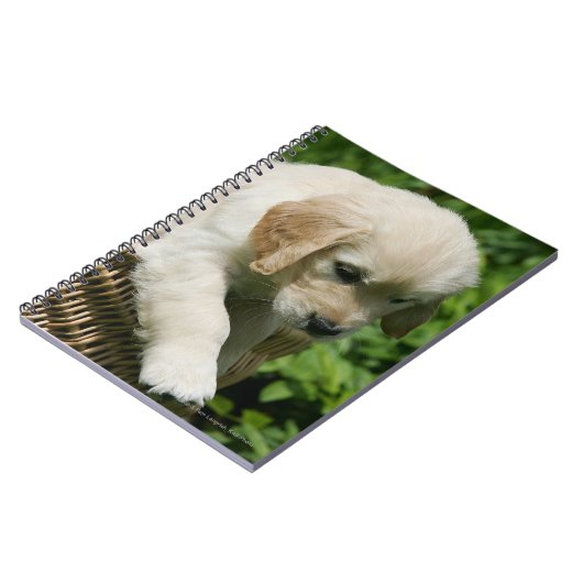 Golden Retriever Puppy in mandje Notitieboek (Linkerzijde)