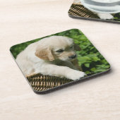 Golden Retriever Puppy in mandje Onderzetter (Linkerzijde)