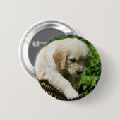Golden Retriever Puppy in mandje Ronde Button 5,7 Cm (Voorkant /achterkant)