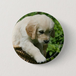 Golden Retriever Puppy in mandje Ronde Button 5,7 Cm