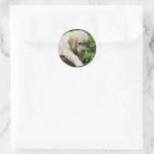 Golden Retriever Puppy in mandje Ronde Sticker (Tas)