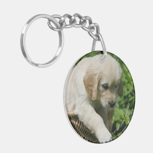Golden Retriever Puppy in mandje Sleutelhanger (Voorkant Links)