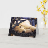 Golden Retriever Puppy Kaart (Gele Bloem)