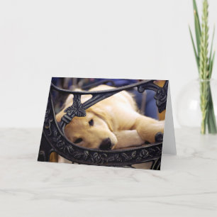 Golden Retriever Puppy Kaart