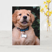 Golden Retriever Puppy Kaart (Gele Bloem)