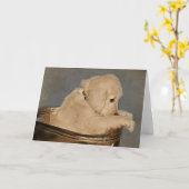 Golden Retriever puppy Kaart (Gele Bloem)