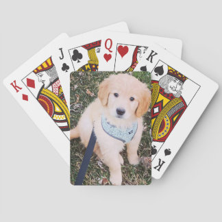 Golden Retriever Puppy Kaarten