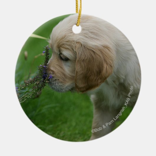 Golden Retriever Puppy Keramisch Ornament (Voorkant)