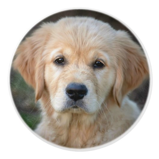Golden Retriever Puppy Keramische Knop (Voorkant)