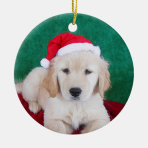 Golden Retriever Puppy kerstboom Keramisch Ornament