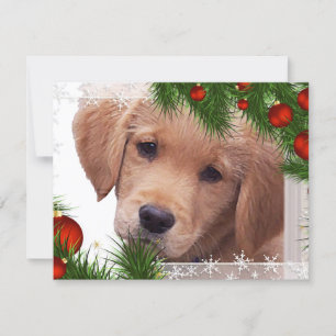 Golden Retriever Puppy Kerstmis Feestdagenkaart