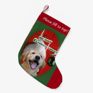 Golden Retriever Puppy Kerstmis Kleine Kerstsok