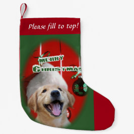 Golden Retriever Puppy Kerstmis Kleine Kerstsok