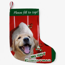 Golden Retriever Puppy Kerstmis Kleine Kerstsok