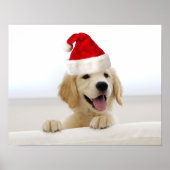 Golden Retriever Puppy kerstPoster Poster (Voorkant)