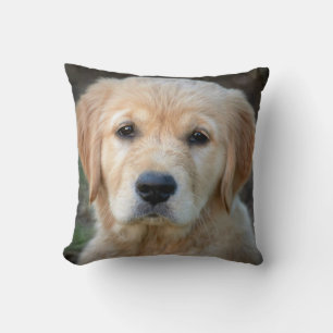 Golden Retriever Puppy Kussen
