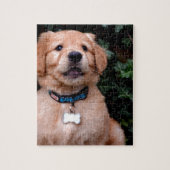 Golden Retriever Puppy Legpuzzel (Verticaal)