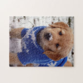 Golden Retriever Puppy Legpuzzel (Horizontaal)