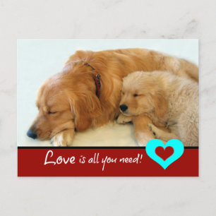 Golden Retriever Puppy Love Briefkaart