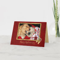 Golden Retriever puppy love