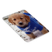 Golden Retriever Puppy Magneet (Rechterzijde)