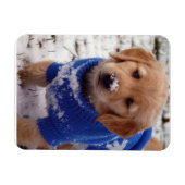 Golden Retriever Puppy Magneet (Horizontaal)