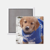 Golden Retriever Puppy Magneet (Voorkant / Achterkant)