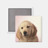 Golden Retriever Puppy Magneet (Voorkant / Achterkant)